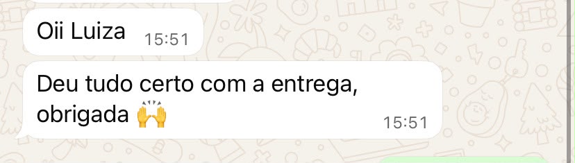 Mensagem de cliente confirmando que deu tudo certo com a entrega